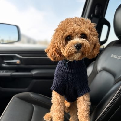 Charlie, the Jamail Hardwoods office dog